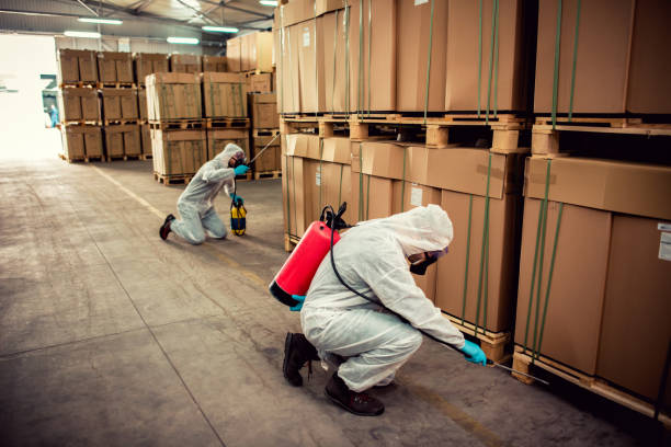 Best Residential Pest Control  in Brunswick, GA