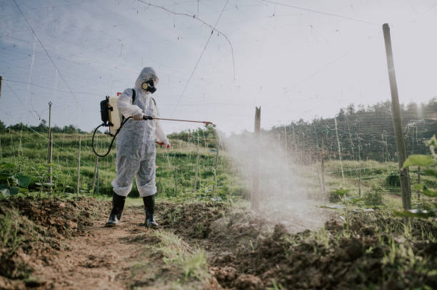 Best Commercial Pest Control Services  in Brunswick, GA