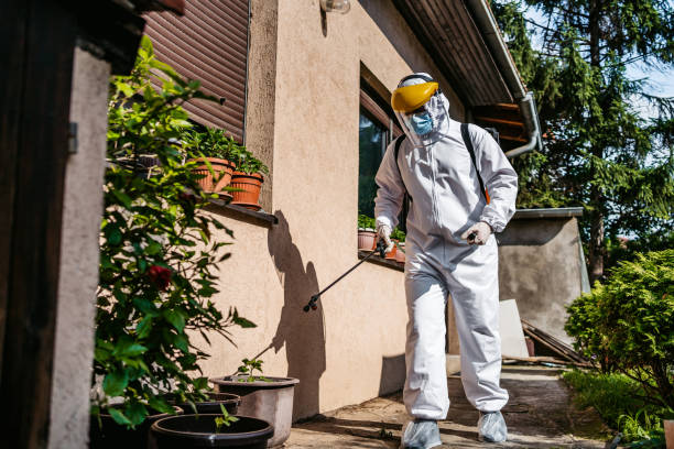 Best Spider Control Near Me  in Brunswick, GA
