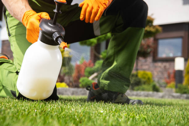 Best Mosquito Control Services  in Brunswick, GA