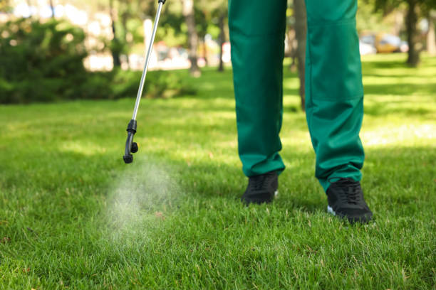 Best Ant Control Services  in Brunswick, GA