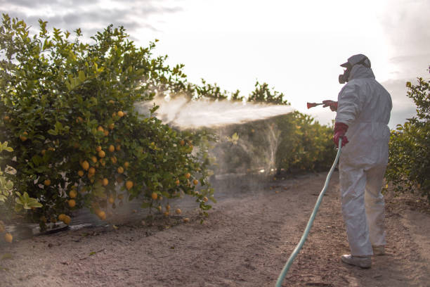 Best Wasp Removal Services  in Brunswick, GA
