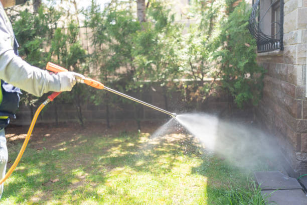 Best Rat Extermination Near Me  in Brunswick, GA