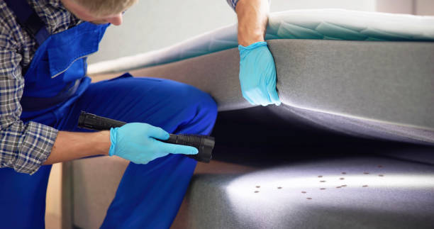 Best Pest Prevention Services  in Brunswick, GA