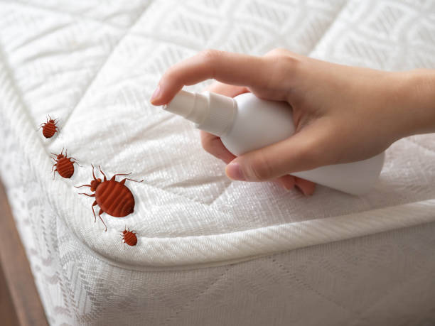 Best Exterminator Services  in Brunswick, GA