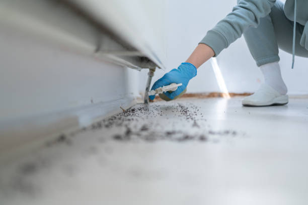 Pest Control for Restaurants in Brunswick, GA